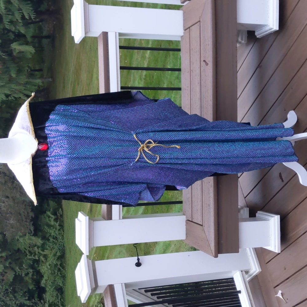 Vintage Disney Evil Queen Snow White Purple/Blue Shimmer Dress Halloween Costume